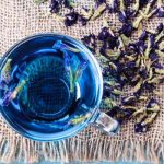 Beneficios del té azul y cómo prepararlo