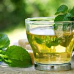 Beneficios del té boldo